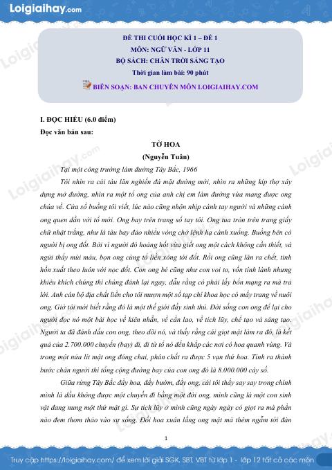 Đề thi học kì 1 Văn 11 Chân trời sáng tạo - Đề số 1